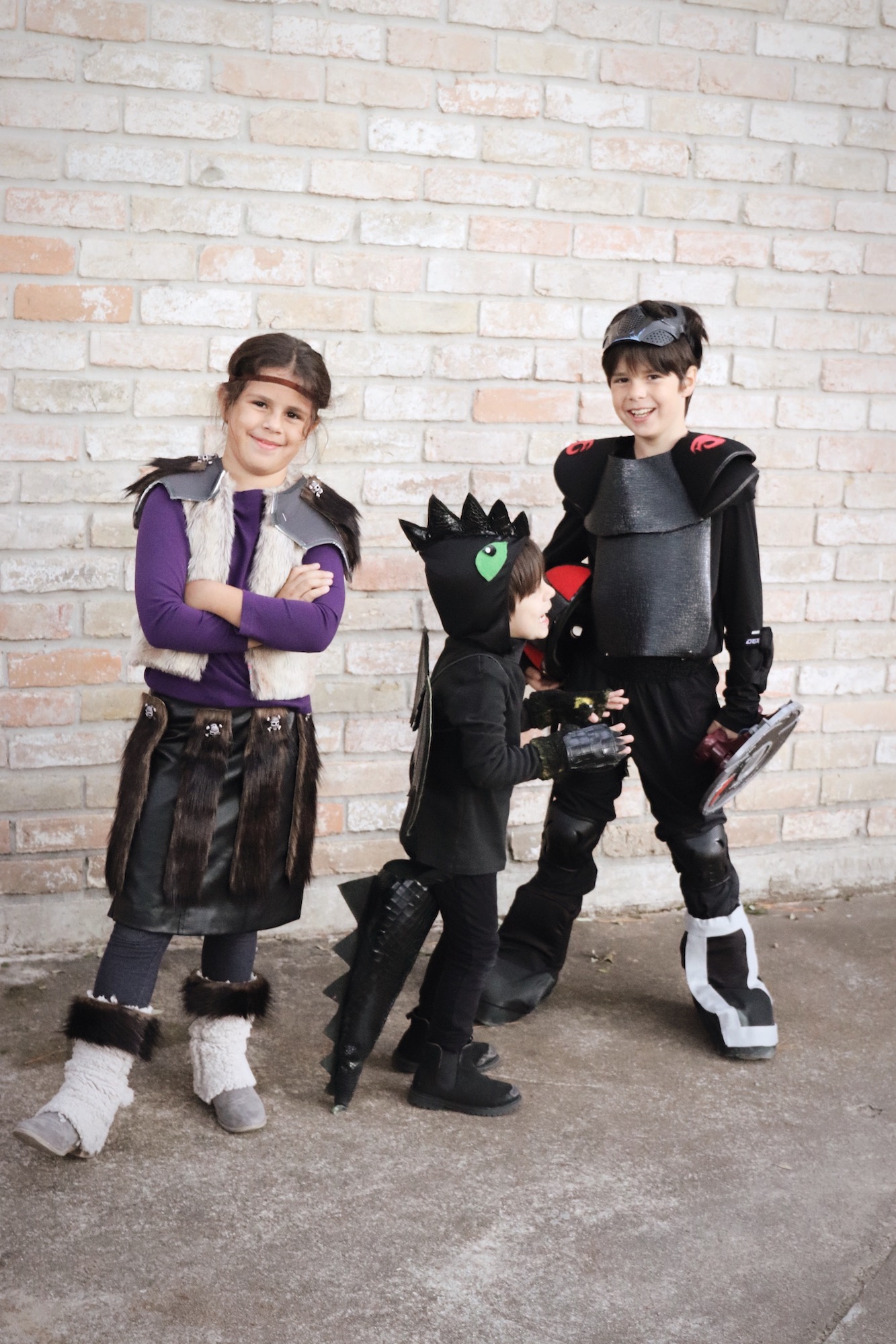 How to train your dragon Family Costume