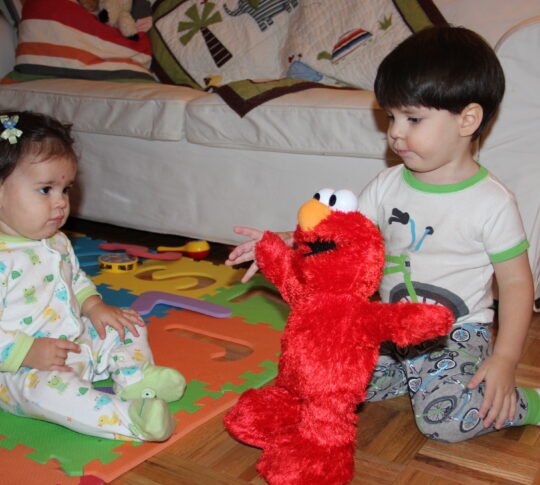 Hockey Pockey Elmo