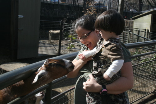 Central Park zoo