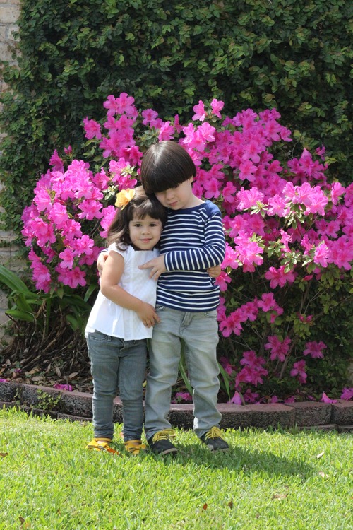 azaleas en houston