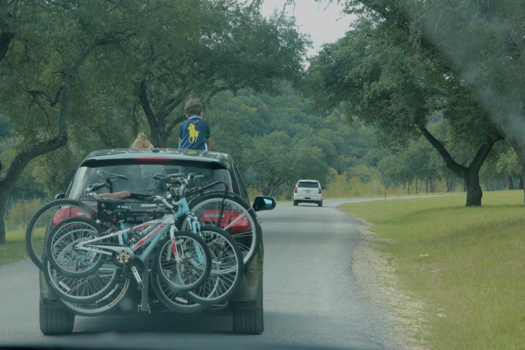 Safari en Texas