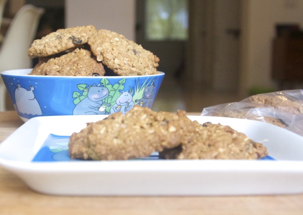 galletas de avena | criandoando.com